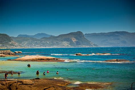 Things To Do In Cape Town South Africa {TOP 6 Must Do's} | Venuelust