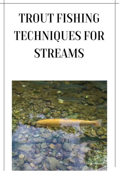 Mastering Trout Fishing Techniques for Streams: Tips and Tricks for a ...