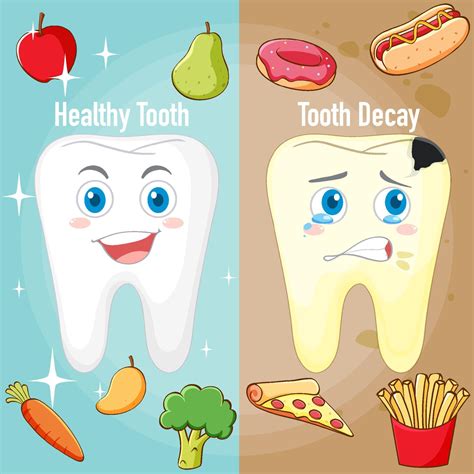 infographie d'une dent saine et d'une carie dentaire 6435047 Art vectoriel chez Vecteezy