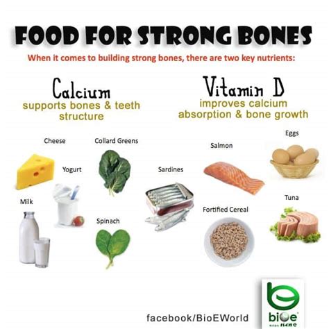 Foods That Build Strong and Healthy Bones – Information Parlour