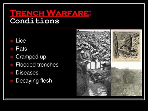 PPT - Trench Warfare PowerPoint Presentation, free download - ID:2119759