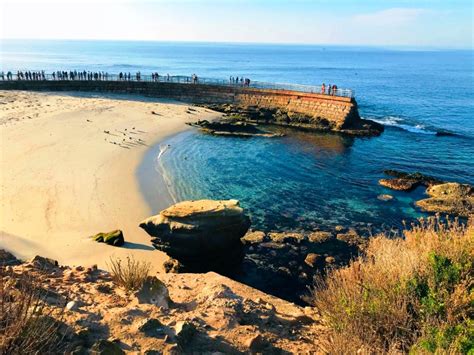 The Ultimate Guide to La Jolla Cove - San Diego Family Travelers