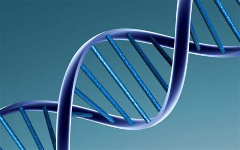 What is DNA? - science made simple