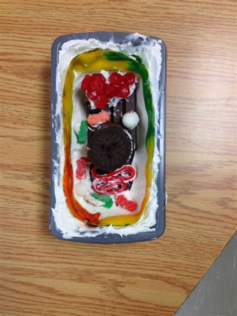 Miss L's Whole Brain Teaching: Edible Cell Models