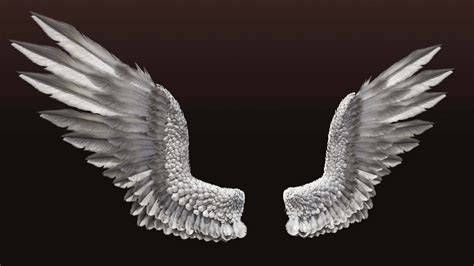 Bird-Angel Wings (C4D) 3D Model by QUARTOMUNDO