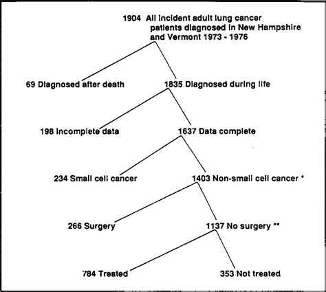 Social and Economic Factors in the Choice of Lung Cancer Treatment ...