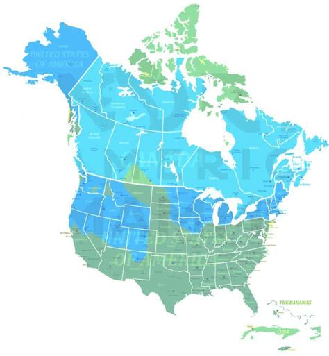 Ermine – North American Nature