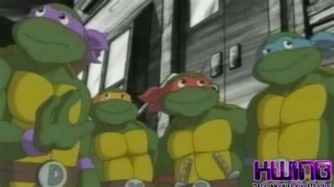 Turtles Forever Review - YouTube