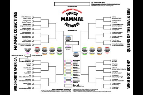 A look inside the 10th Annual March Mammal Madness tournament | ASU News