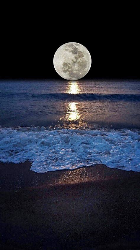 Moonshine beach sea | Moon photography, Beautiful moon, Moon art