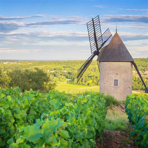 Wines from Burgundy are becoming more and more expensive | wein.plus ...