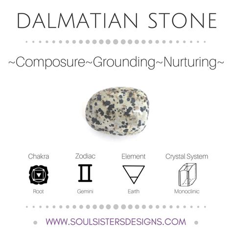 75+ Dalmatian Stone Spiritual Meaning Pic - Bleumoonproductions