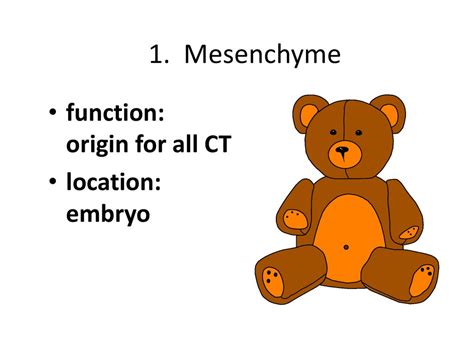 2. Stratified: 2 or more layer of cells, used for protection - ppt download