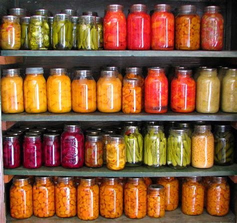 Preserving the Harvest – Canning and Dehydrating - The Prepper Journal