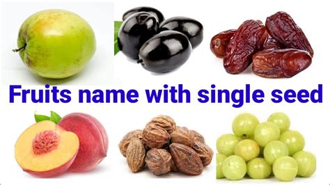 Fruits with single seed.Fruits name for Kids - Assamese to English- এগুটিয়া ফলৰ নাম - YouTube