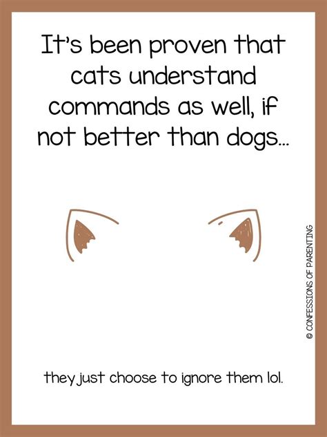 120 Purr-fect Cat Jokes That Make You Me-OWWW!