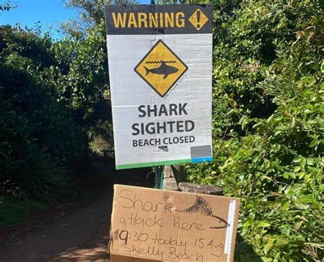 Beaches remain closed after Port Macquarie shark attack | Port Macquarie News | Port Macquarie, NSW