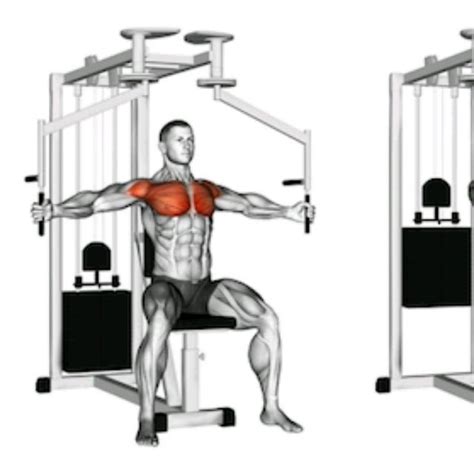 Machine Pec Fly by D Rodney - Exercise How-to - Skimble