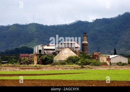 Sugar mill and sugar cane field, Mhlume, Swaziland Stock Photo: 85910297 - Alamy