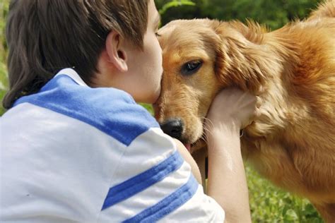 The Best Dog Breeds for Autistic Children | Cuteness