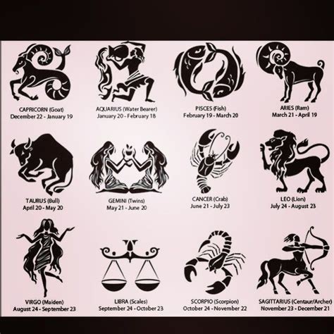 What Is Virgo Spirit Animal - ASUMMARYI