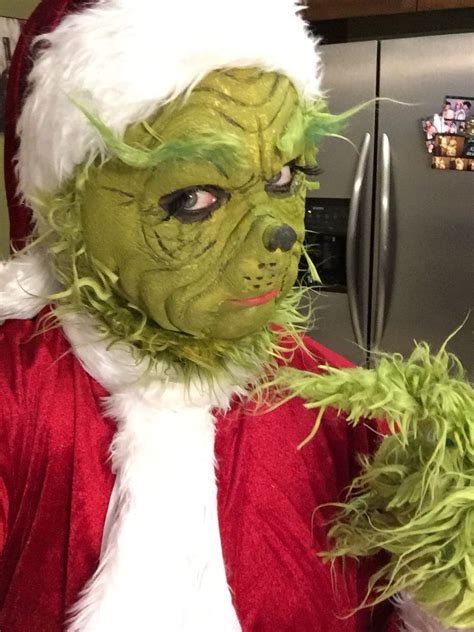 The grinch that stole Christmas Halloween costume Christmas diy ...