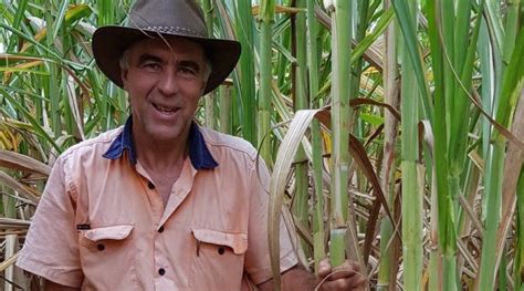 Australia Developed Two New Sugarcane Varieties Available for Domestic Regions - Sugar Asia Magazine
