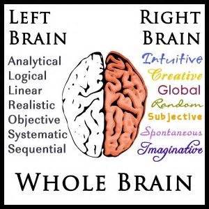 Is Your Child A Right-Brained Learner? - Kelly Cavanaugh Tutoring