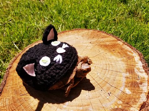 Black Cat Costume for Turtle/Tortoises | Etsy