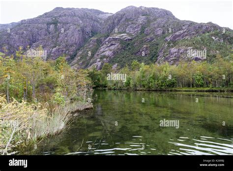 Fjords: Views around Caleta Tortel Patagonia Chile Stock Photo - Alamy