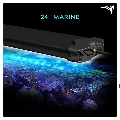 10 Best Aquarium LED Lighting Fixtures - aquariumdimensions