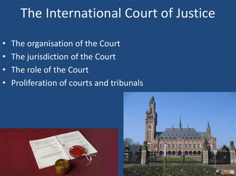 The International Court of Justice