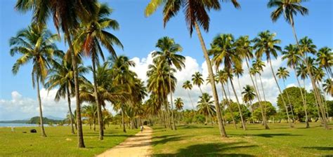 Punta Santiago Beach, Humacao, Puerto Rico | BoricuaOnline.com