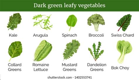 Green Leafy Vegetables Stock Photos and Pictures - 117,355 Images ...
