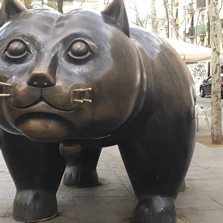 Cat, Fernando Botero (Barcelona) - 2018 All You Need to Know Before You ...