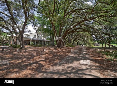 The Charleston Tea Plantation is located on historic Wadmalaw Island in ...