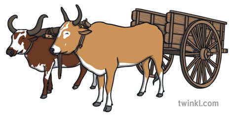 Oxen Pulling Cart Illustration - Twinkl