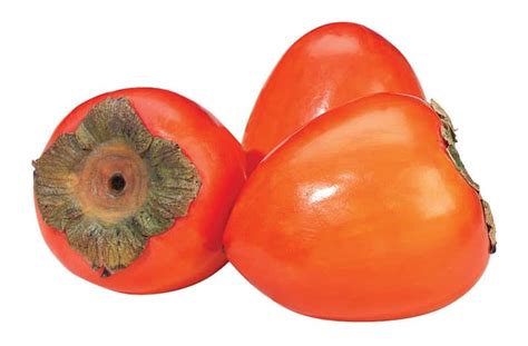 Persimmons - Prepared Food Photos, Inc.