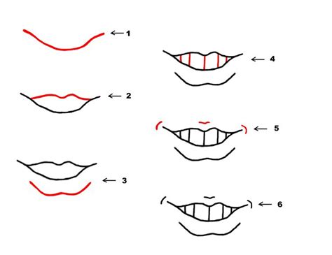 an image of teeth with different angles and shapes to draw in the style of anime