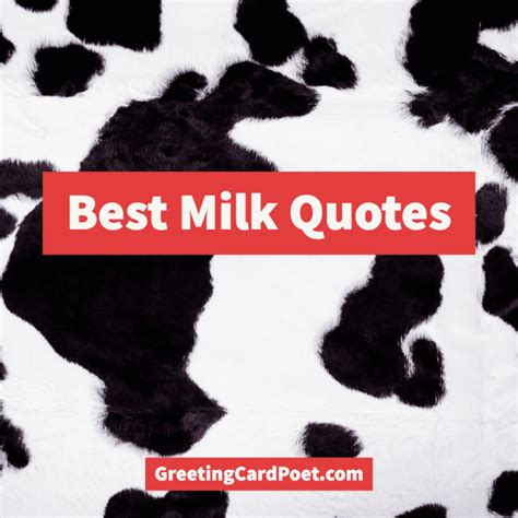 100 Milk Quotes To Satisfy All Thirsts - Greeting Card Poet