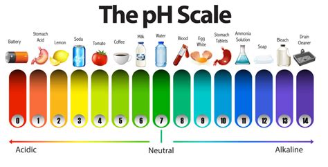 Science for Kids - How to make pH indicator test strips