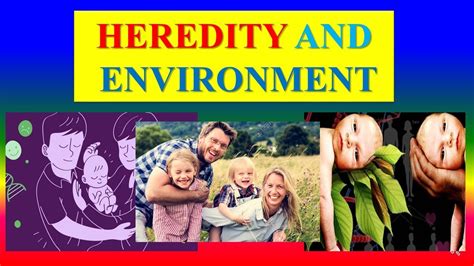 Heredity and Environment – YOP Education