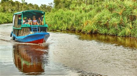 3 Days Tanjung Puting Wooden Boat & Orangutan Tour