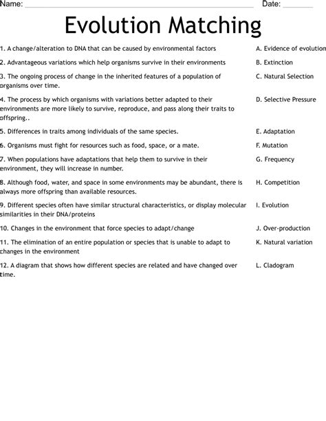 41 evidence of evolution worksheet answer key - Worksheet Database