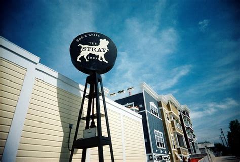 Stray Dog Cafe in New Buffalo, Michigan | Stray Dog Cafe in … | Flickr