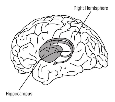 Anterograde Amnesia | Examples, Symptoms & Treatment - Lesson | Study.com