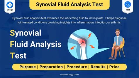 Synovial Fluid Analysis Test: Price, Purpose & Results - Drlogy