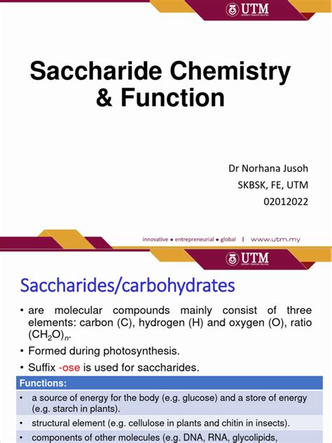 Saccharide Chemistry Function | PDF