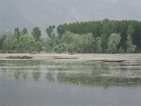 In Protecting the Kashmir Valley, Wular Lake Has Become Harder to Save – The Wire Science