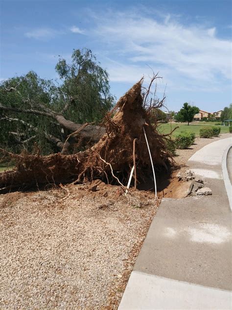 PHOTOS: Monsoon storm damage in the East Valley